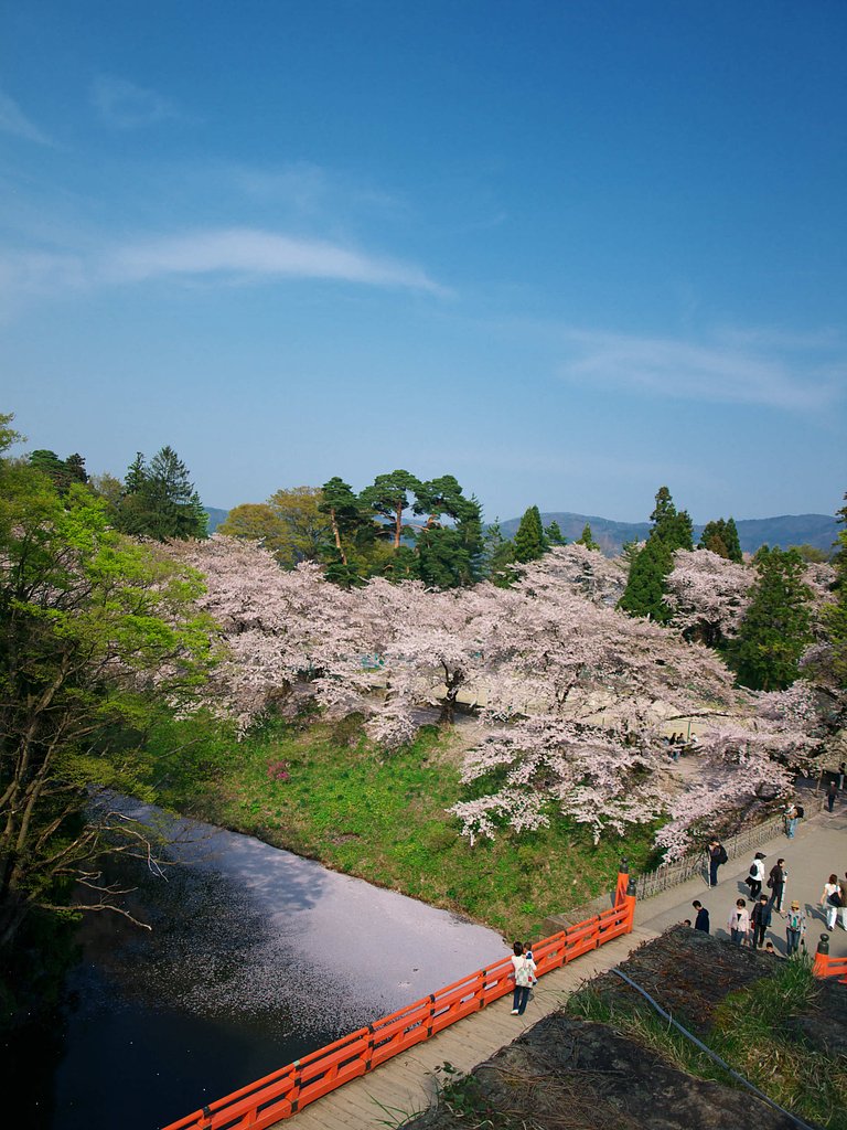 鶴ヶ城お堀・・・