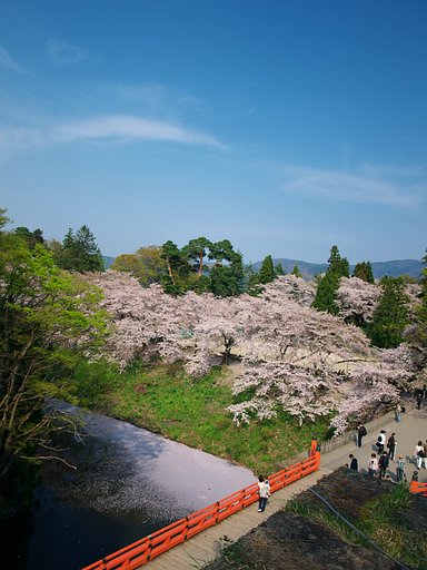 鶴ヶ城お堀・・・