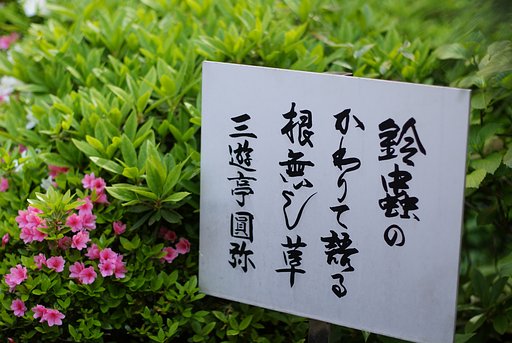 『緑』最後の緑