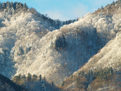 無垢なるもの