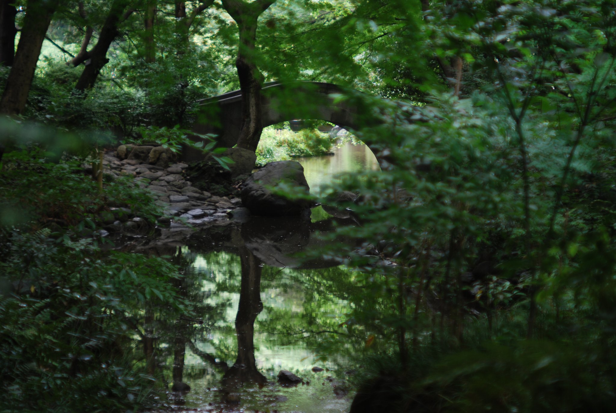有栖川記念公園・広尾