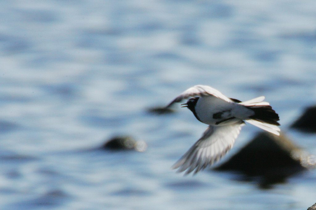 TAKE OFF