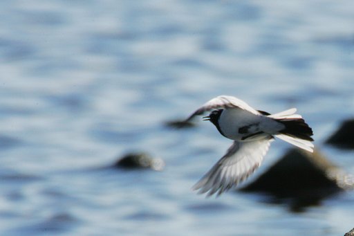 TAKE OFF