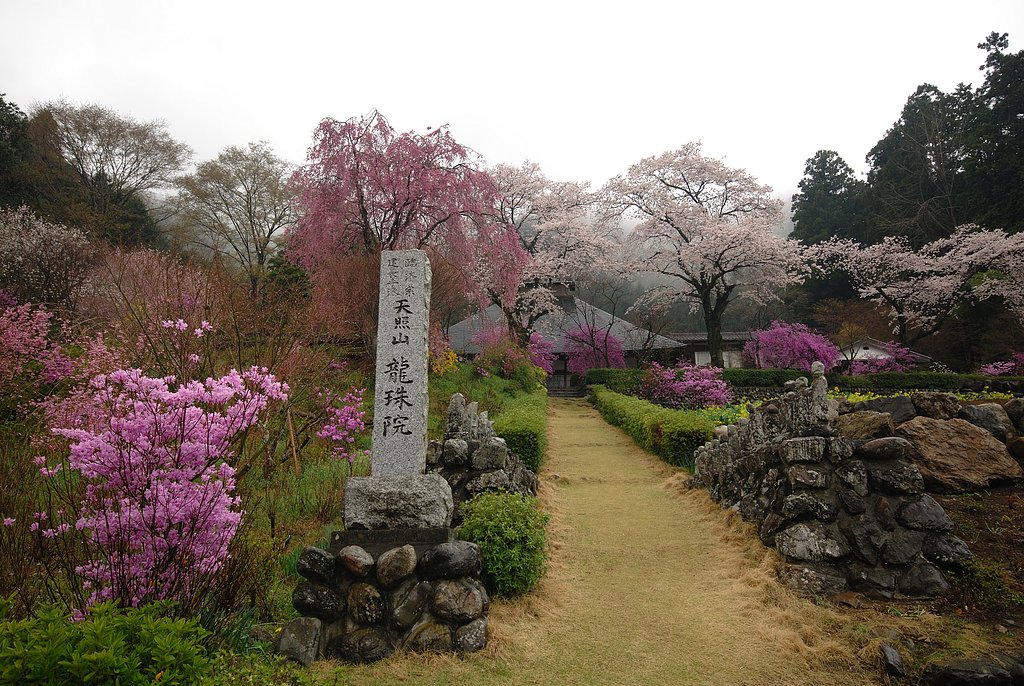 雨の日の花の寺