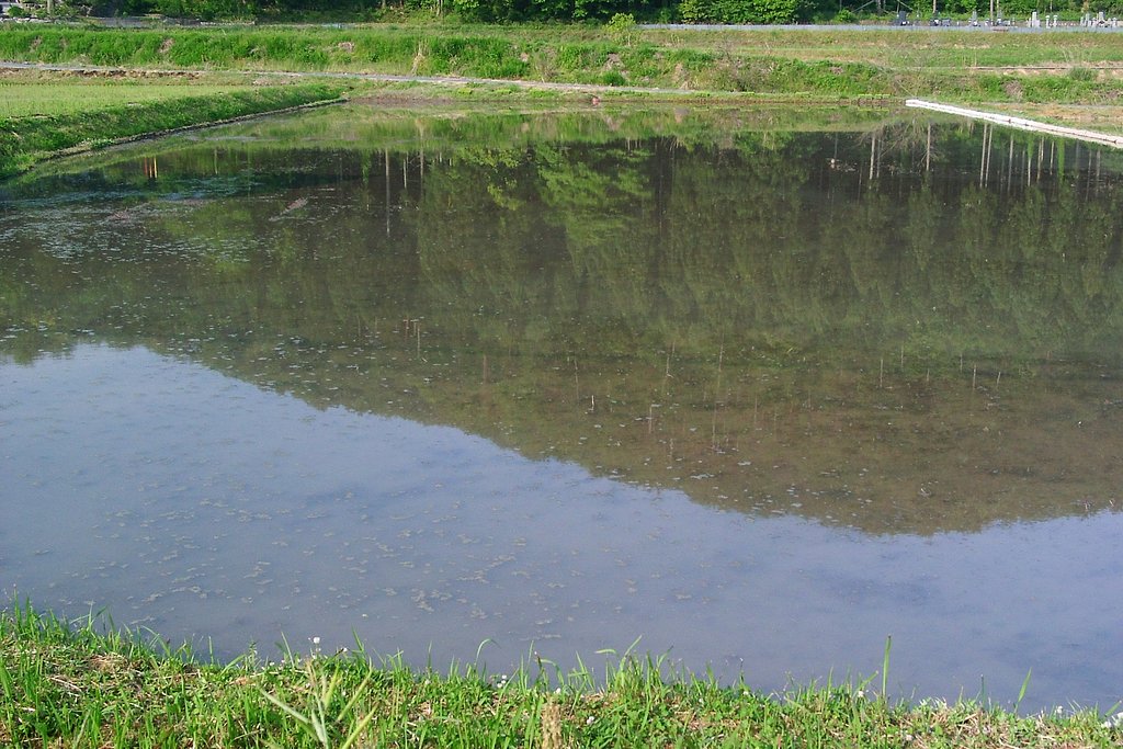 柳井手が田植えの準備が出来ました。