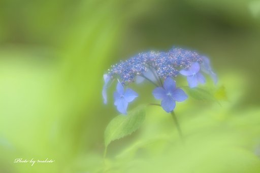 一人静かに・・・