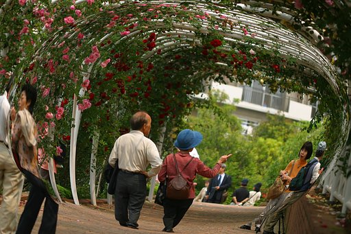 薔薇のトンネル