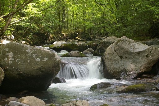 亀田川上流