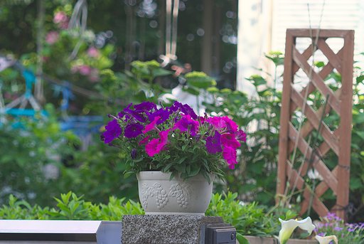 「植」信号待ちでふと