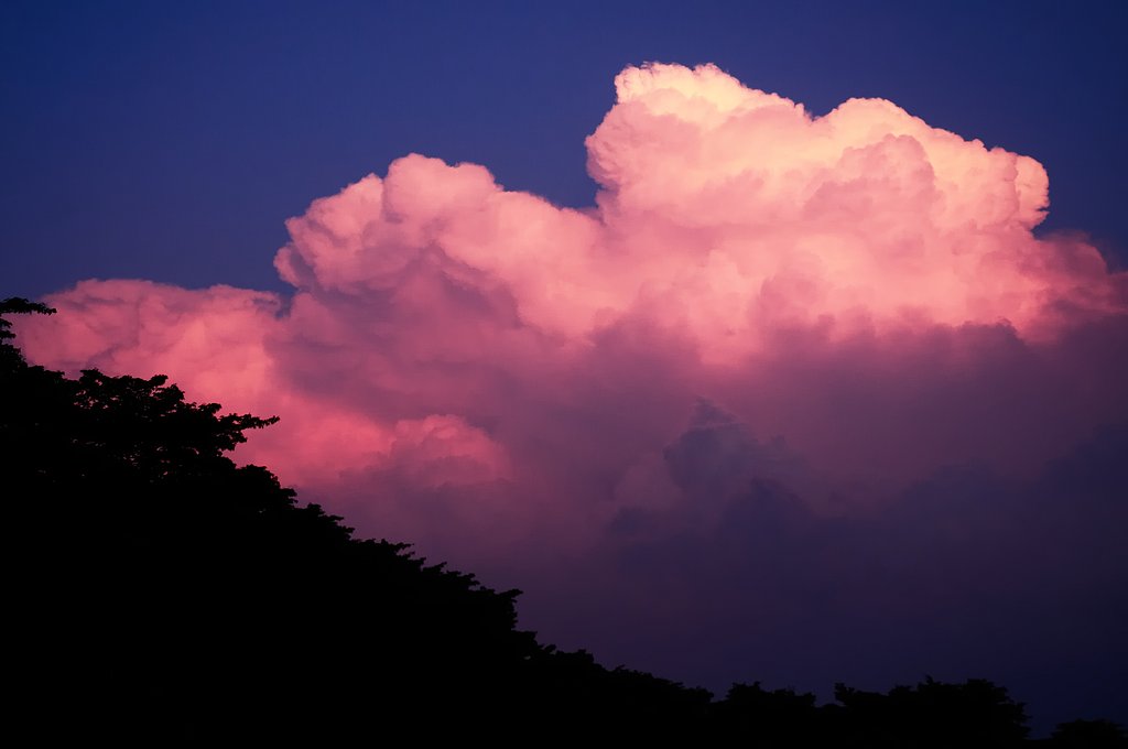 染まる雲