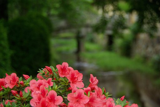 TAMRON AF XR DiII 18-250mm F3.5-6.3 MACRO (A18)
