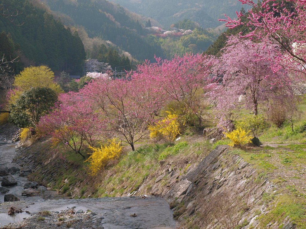 花咲く里