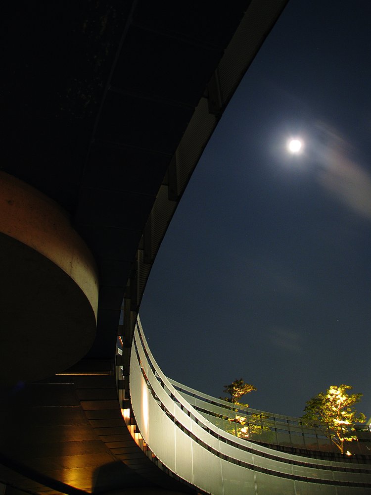 Night Line