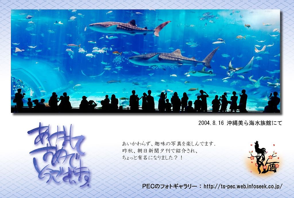 本年もよろしくお願いいたします