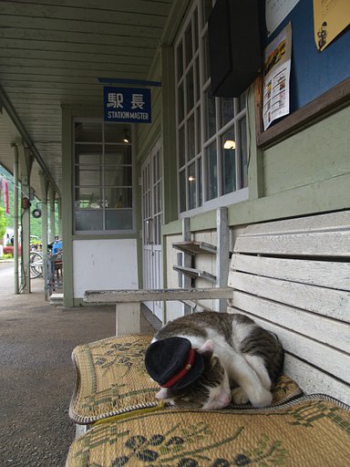 猫駅長