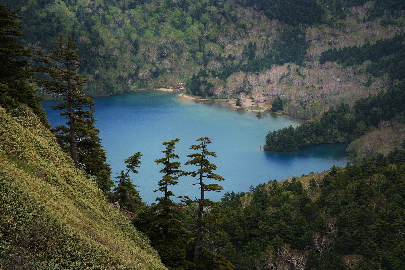 裏志賀山から大沼を望む