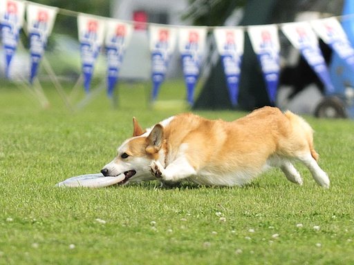 おりゃ〜！