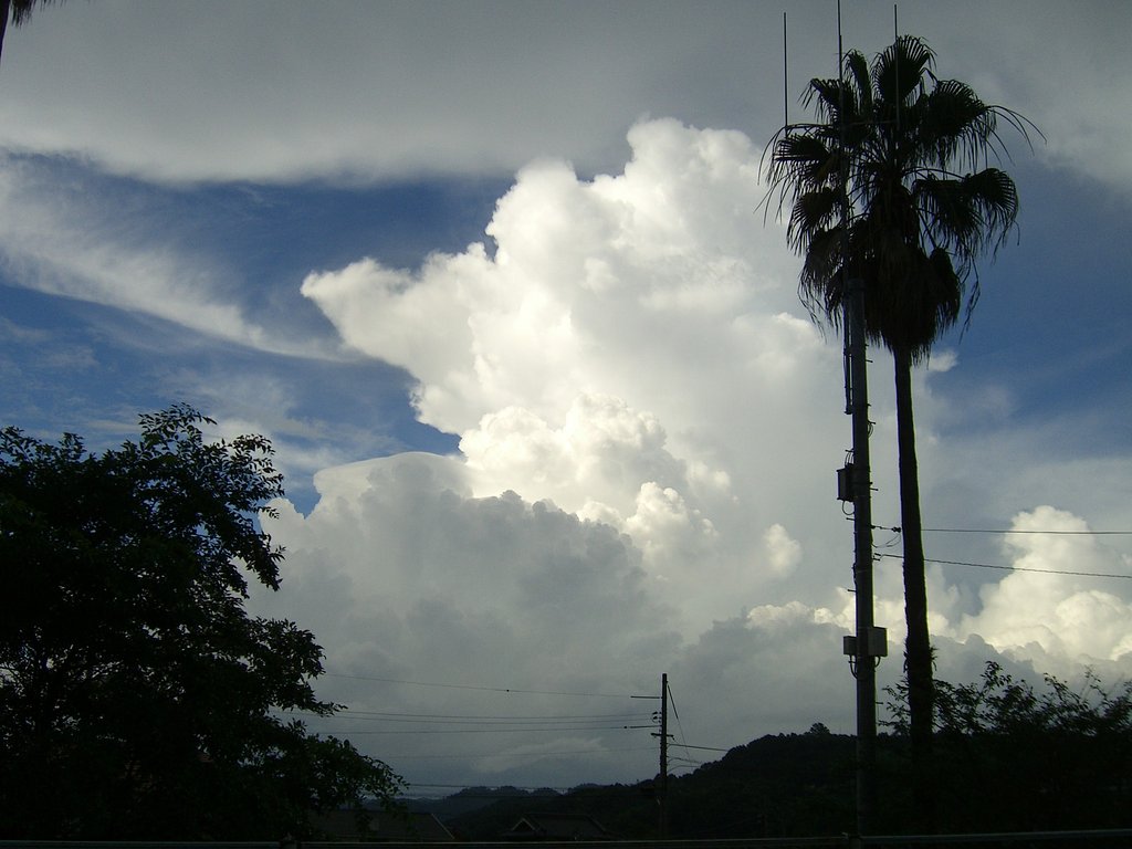 入道雲