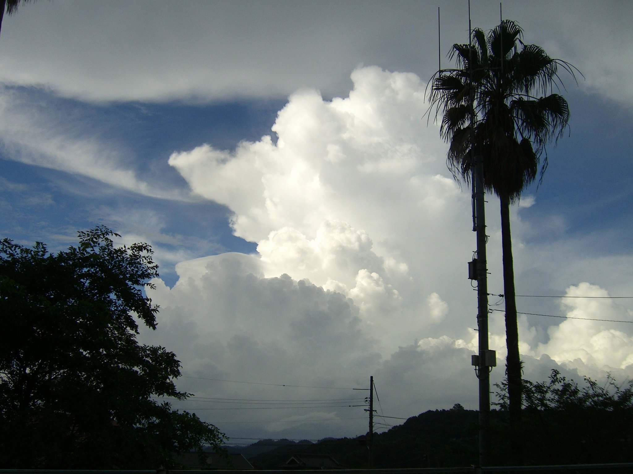 入道雲