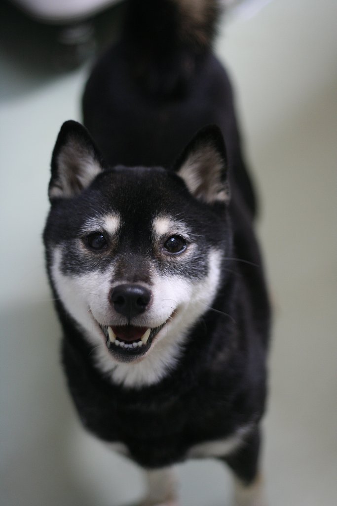 とびっきりの・・・