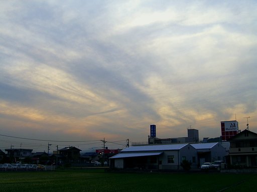 梅雨本番に