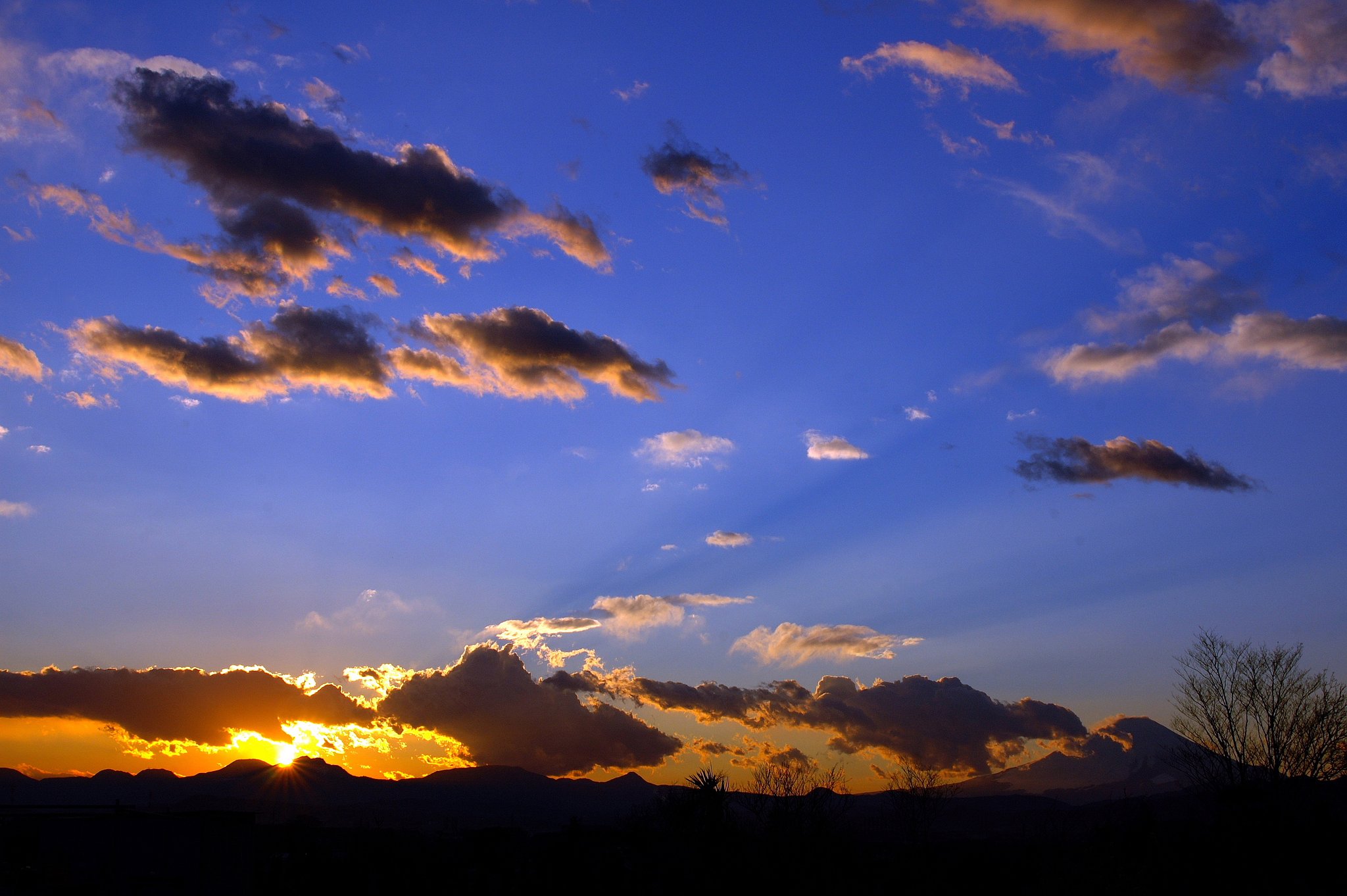 夕暮れ