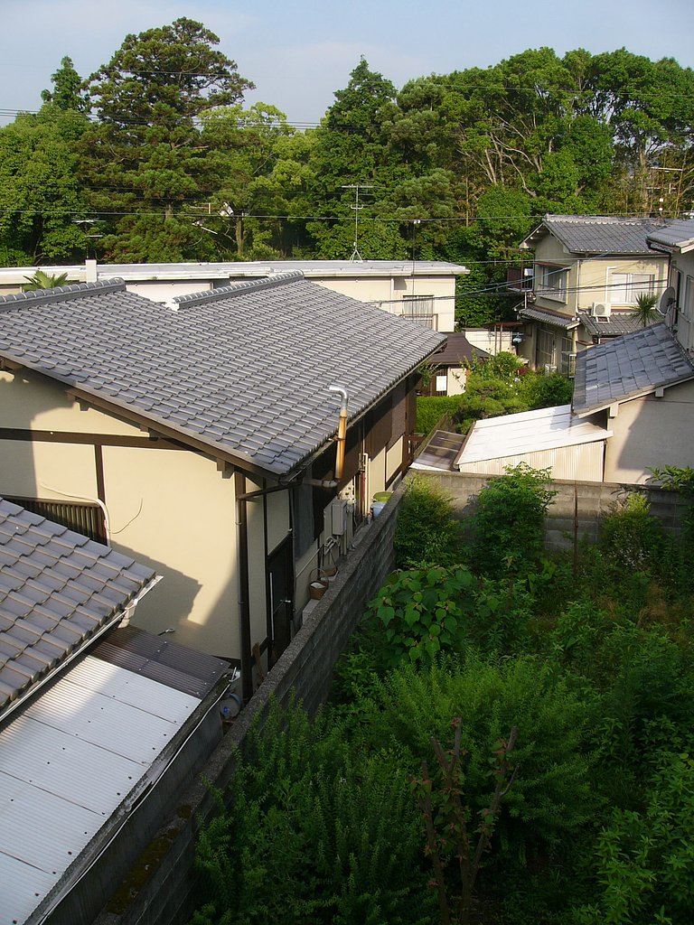 昼間の夢