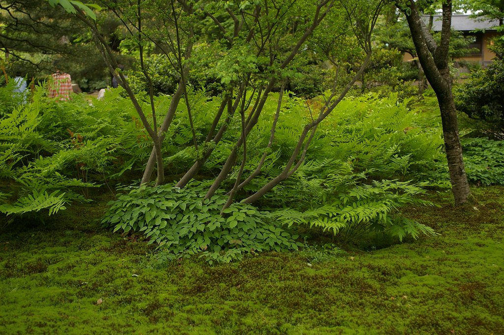 兼六園で試し撮り（その５）