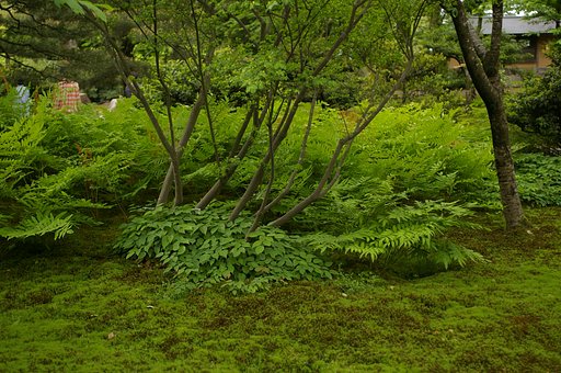 兼六園で試し撮り（その５）