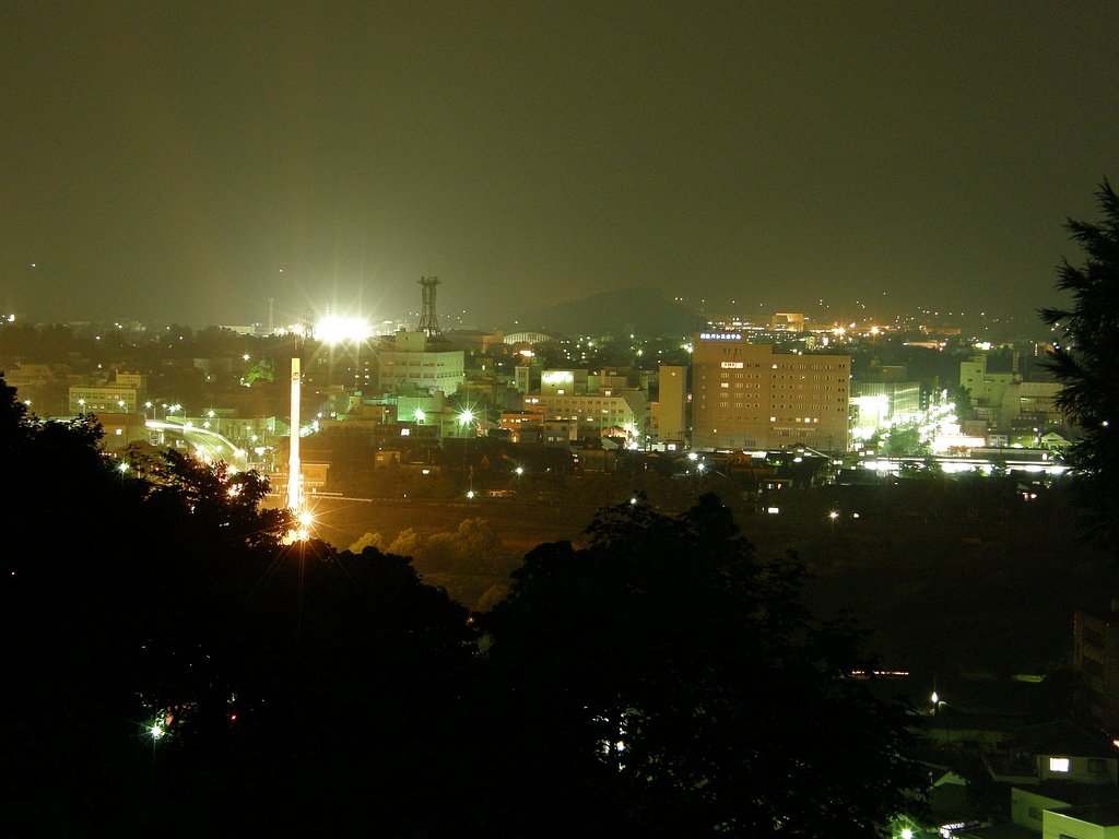 夜景の武生駅周辺
