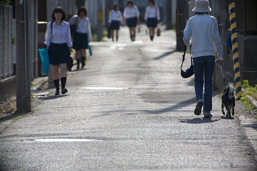 通学路・散歩道