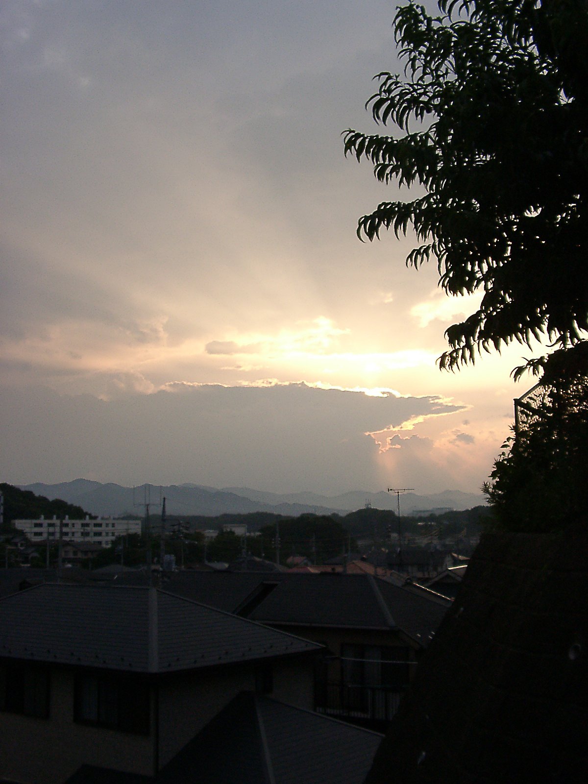 梅雨どきの夕暮れ-７