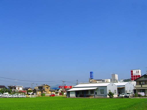夏空—その５