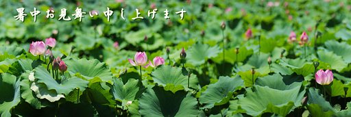 暑中お見舞い申し上げます！