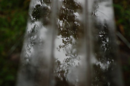木道の水たまり