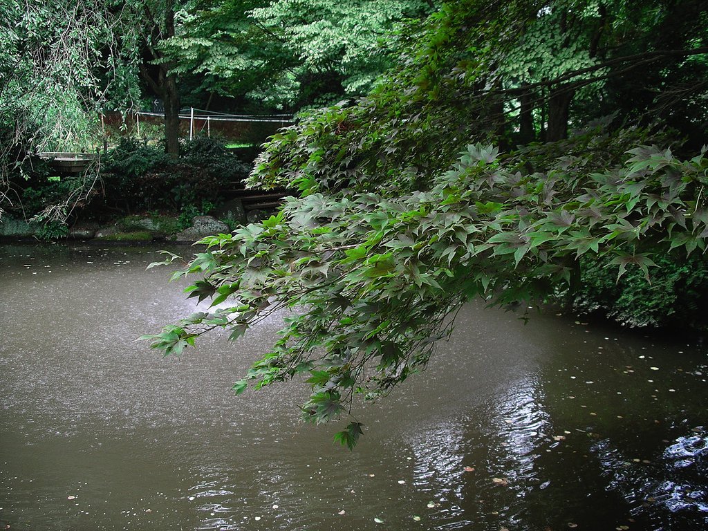 森林公園の庭園２