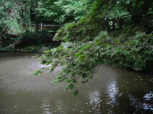 森林公園の庭園２