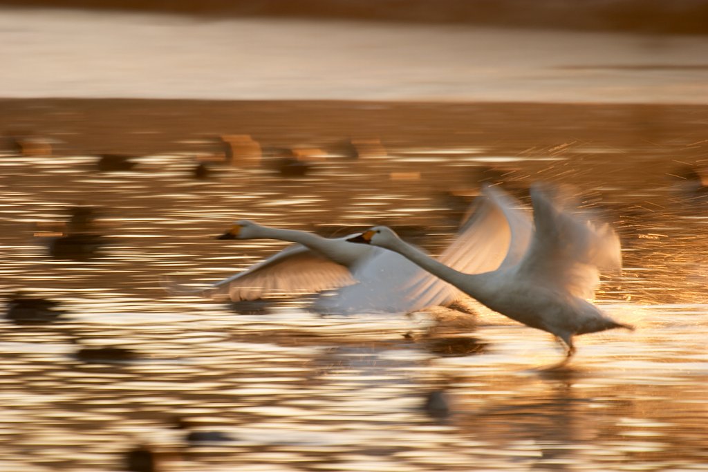 ＴＡＫＥ-ＯＦＦ
