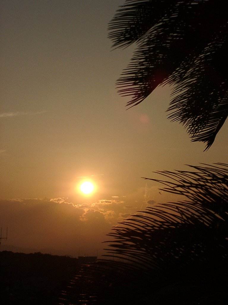 《番外》 久々に見た夕日