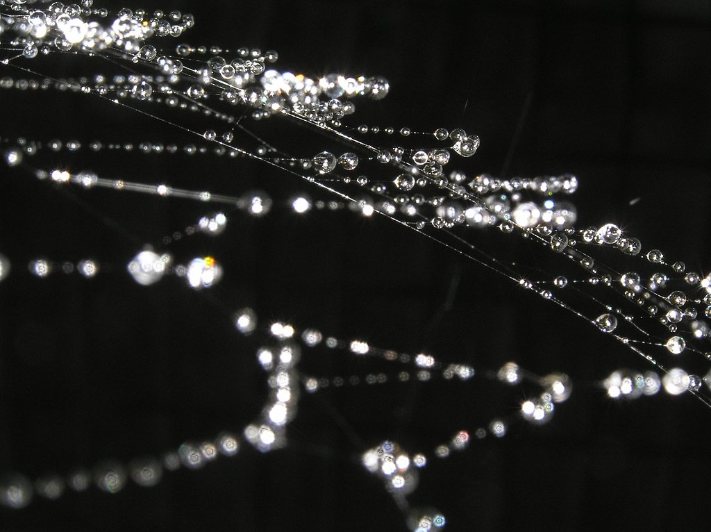 【ｓｉｌｖｅｒ】輝き