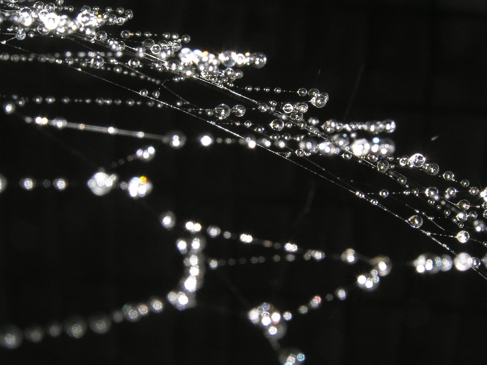 【ｓｉｌｖｅｒ】輝き