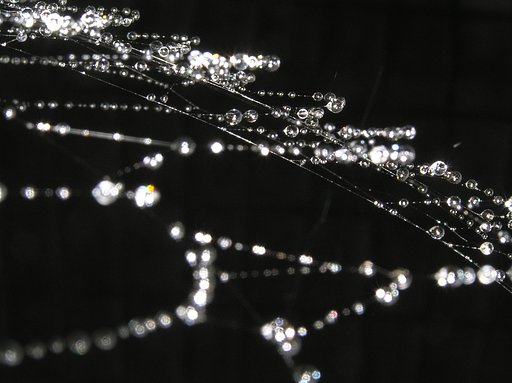 【ｓｉｌｖｅｒ】輝き