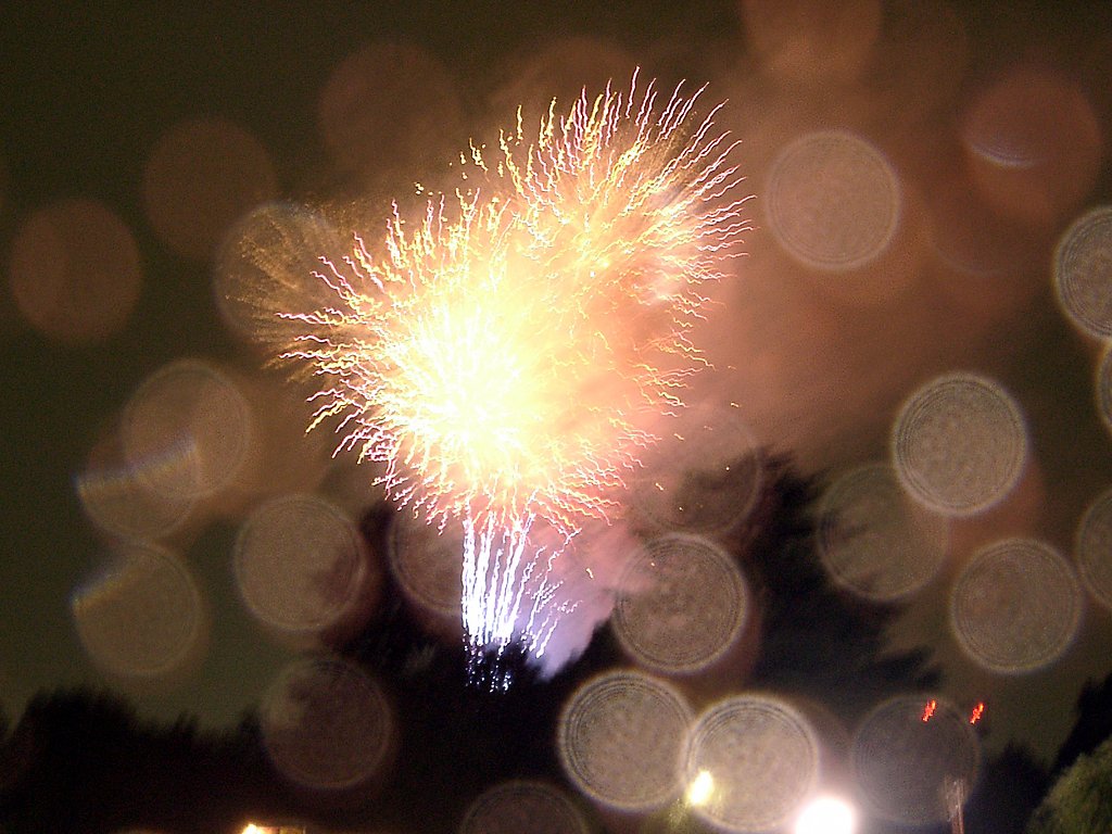 ★夏の夜の夢花火★-１
