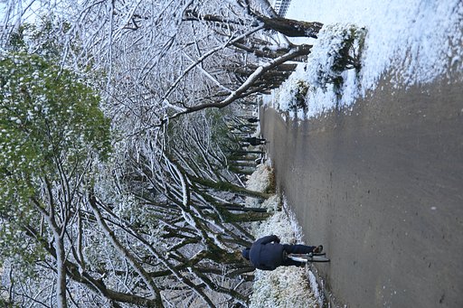 [Silver]銀の道