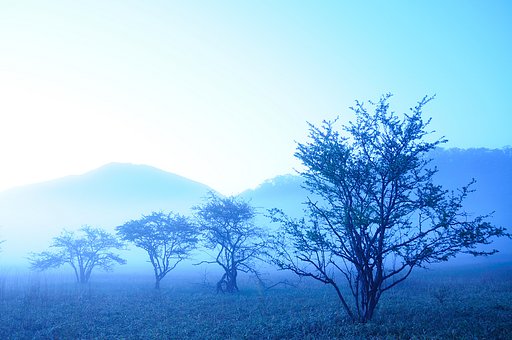 MORNING　BLUE