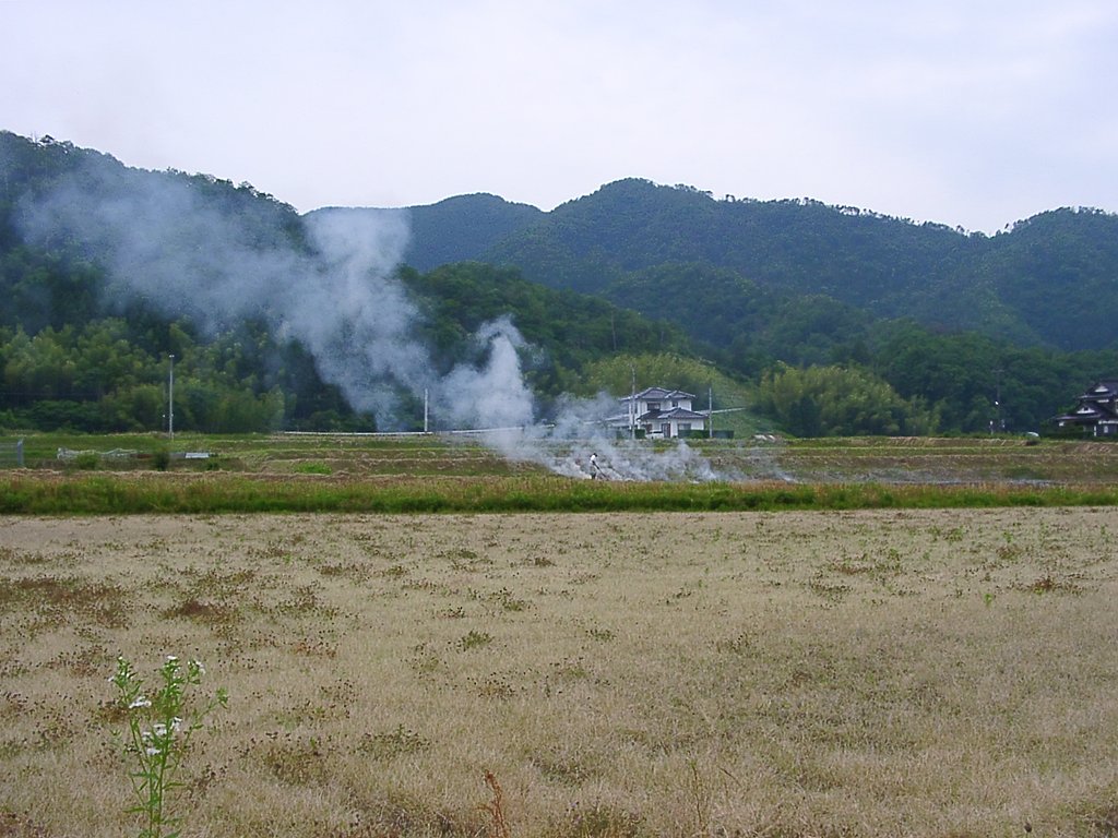 田んぼの畦草焼き