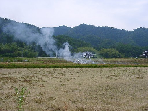田んぼの畦草焼き