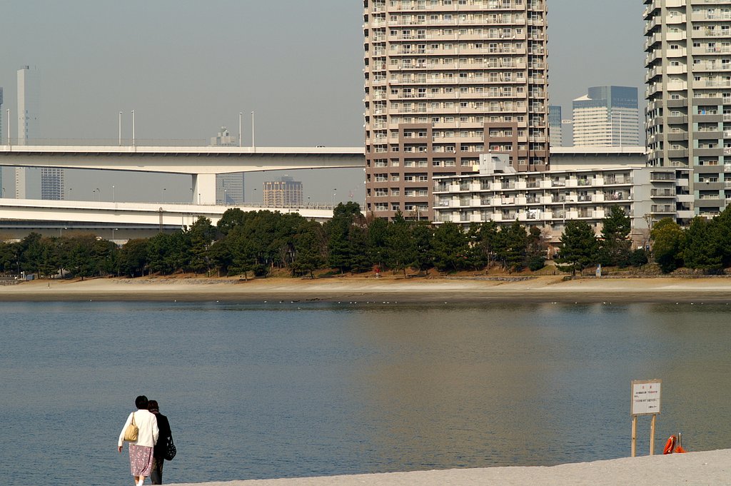 『道』海岸線