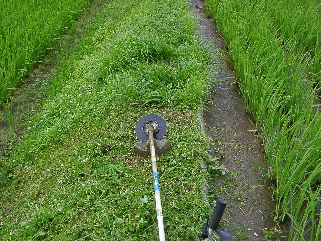 一休み