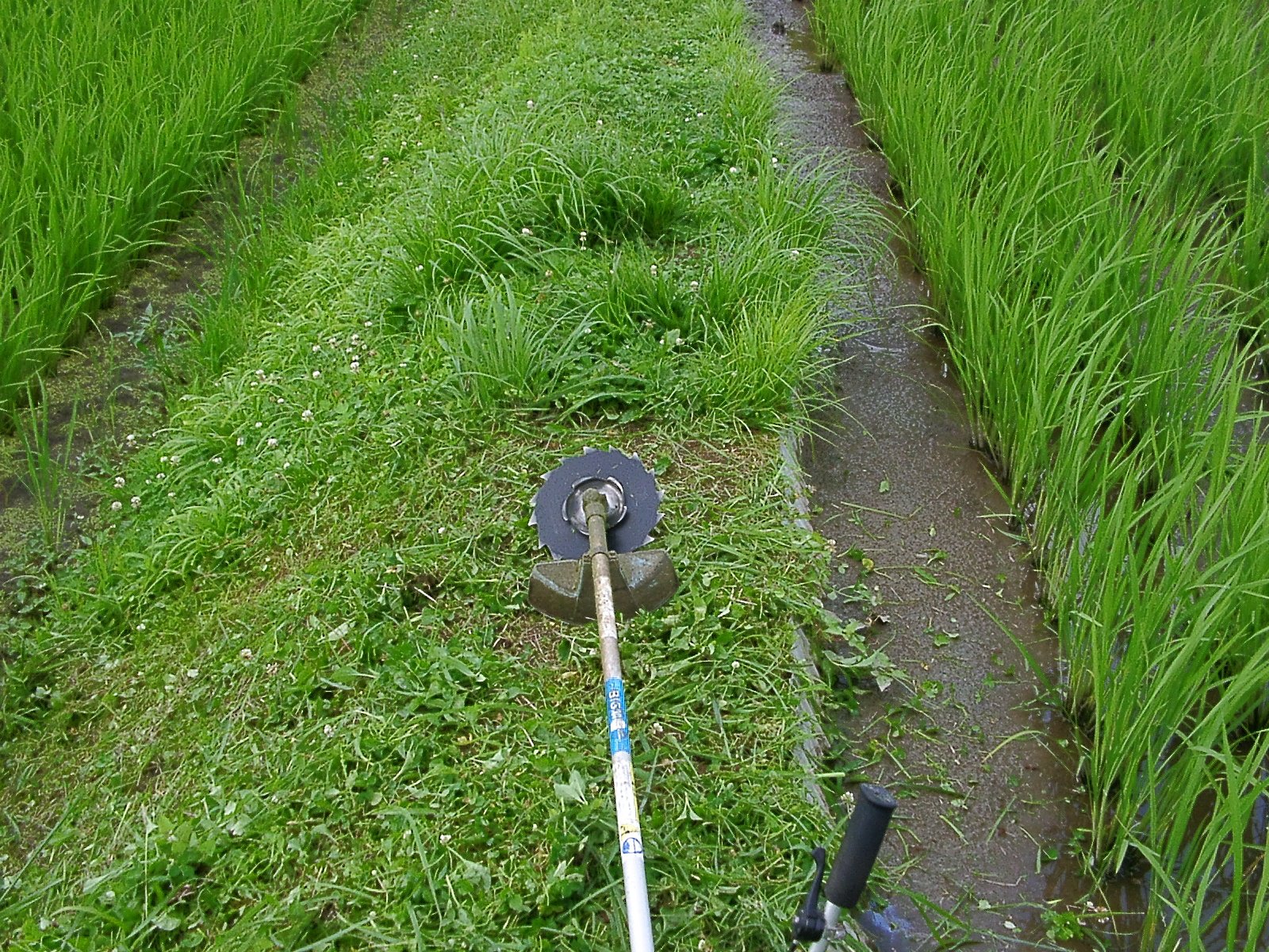 一休み
